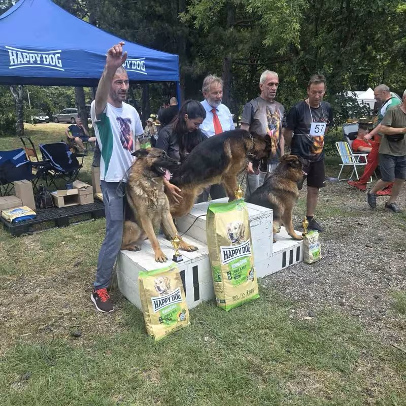 happy-dog-nemski-ovcharki-chirpan-2026-gallery-12.PNG